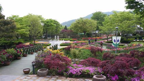 [ 신구대학교 식물원 둘러보기]꽃들에게 반하고 꽃향기에 취하다