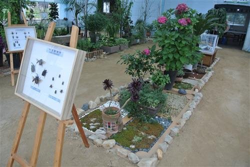 꿈틀꿈틀 곤충 구경하러 오세요!