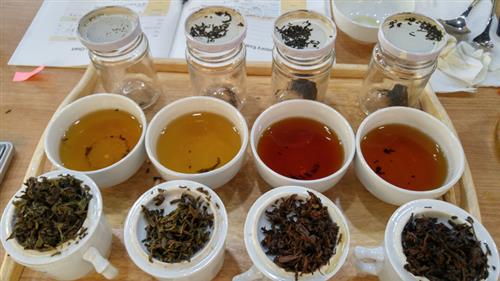 [한국 티소믈리에 연구원: 티 전문가 교실]티(TEA)에 대해 배우며 여유, 지혜, 소통도 배운다