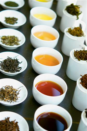 [한국 티소믈리에 연구원: 티 전문가 교실]티(TEA)에 대해 배우며 여유, 지혜, 소통도 배운다