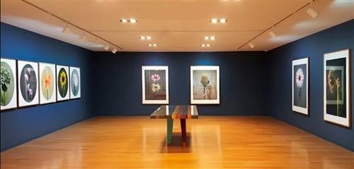 [정자동 아트스페이스J ‘꽃의 초상’展]한 폭의 초상화로 다시 피어난 꽃