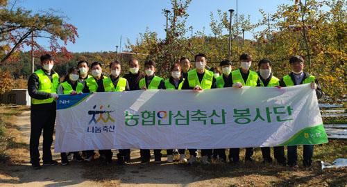 농협안심축산, 포천 자매결연마을 일손돕기