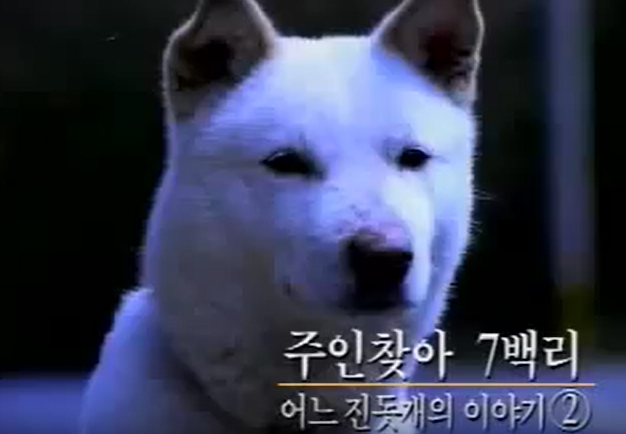 [브랜드 흥망사] 고객에겐 천국, 직원에겐 지옥... 세진컴퓨터랜드 흥망사