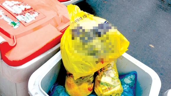 <카메라 고발> 양심까지도 함께 버리겠습니까 ?