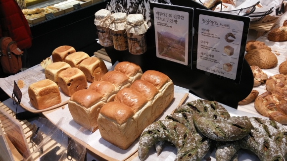 “백두대간 약초 넣은 빵 맛보세요”