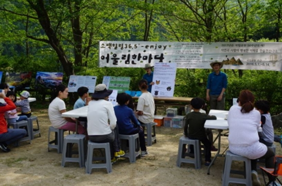 휴가철엔 소백산 삼가야영장으로!