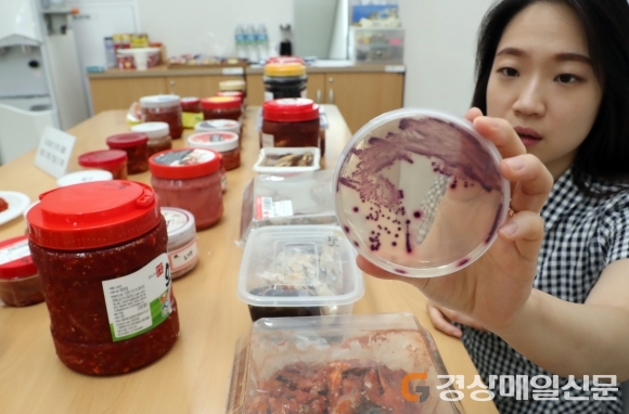 밥도둑 ‘게장ㆍ젓갈’ 위생주의보 발령