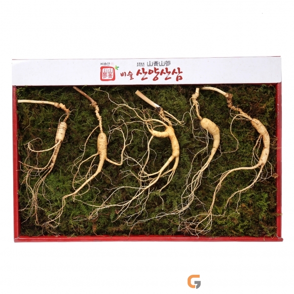 참달성 쇼핑몰, 롯데닷컴 입점