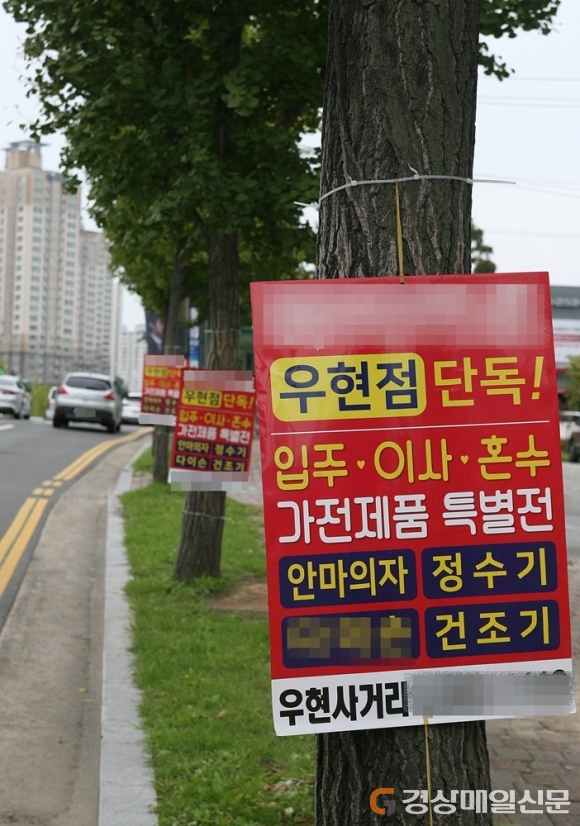 <포커스> 싫다 싫어 불법광고물, 가을 낭만 파괴