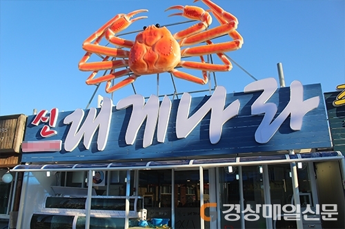 강릉 주문진맛집 신대게나라, 다가오는 5월 황금연휴 강릉 가볼만한곳 필수 코스