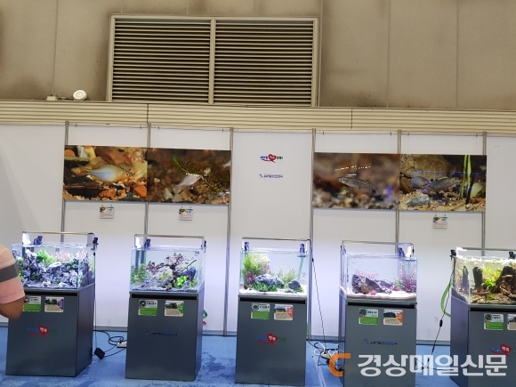 道토속어류산업화센터, 관상어 박람회 참가