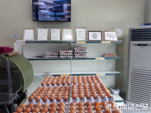 영천, 제수용 축산물 “안전 먹거리 지킨다”