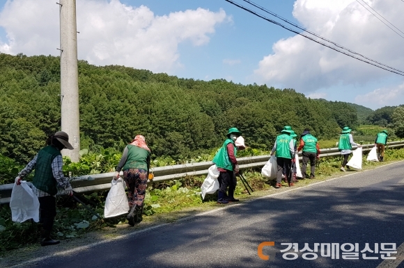 영주 평은면 남녀새마을지도자, 도로변 풀베기
