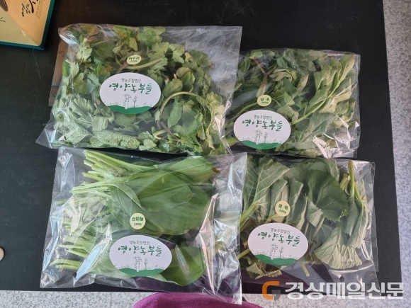 영농조합법인 영양농부들, 온라인 산나물 판매