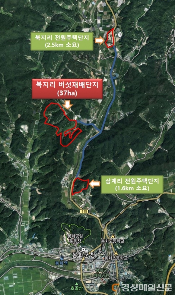 <특집> 버섯산업 육성 최적지 ‘봉화’…버섯클러스터단지 조성