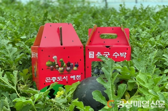 예천군 서민프레시 농업회사법인, 전통부각 생산공장 준공식
