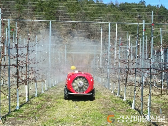 ‘과수농가 일손부족 해소’ 청송군 나선다