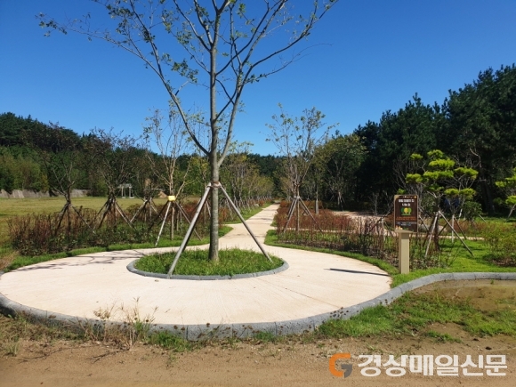 포항시립색동어린이집, 나눔숲 조성사업 탄력