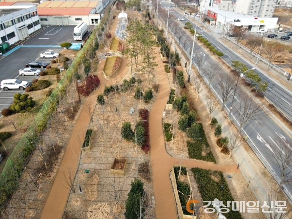 미세먼지 차단숲 조성 영천시, 3년연속 선정