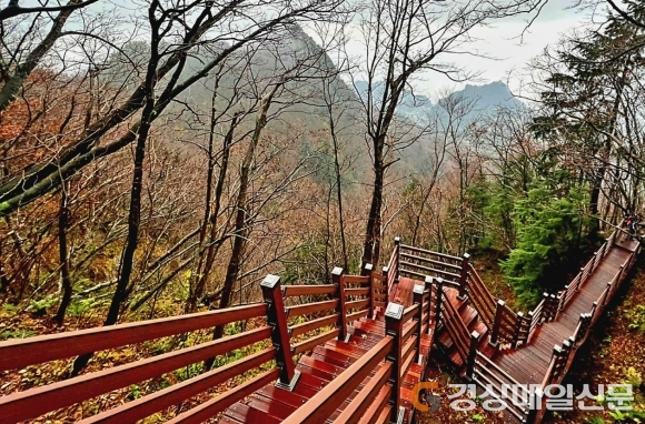 울릉, 성인봉 등산로 새로 열어