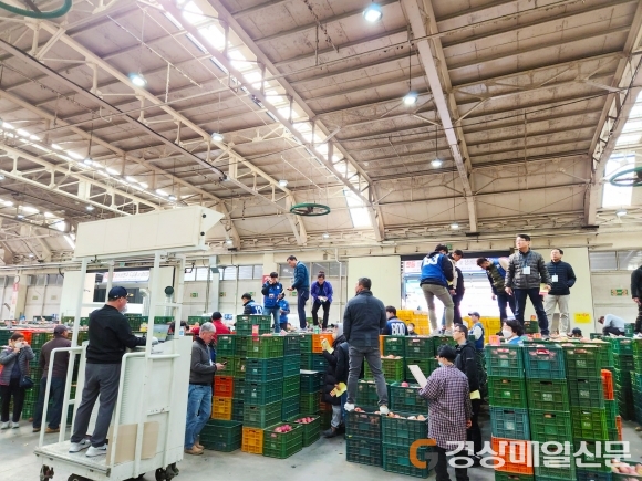 안동, 농산물 산지유통시설 현대사업 추진