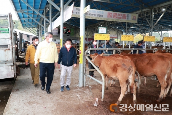 예천, 축산업 경쟁력 강화에 전력