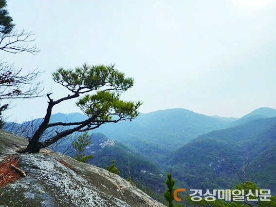 <편집국에서> 남산 용장곡에서 하루를 보내다