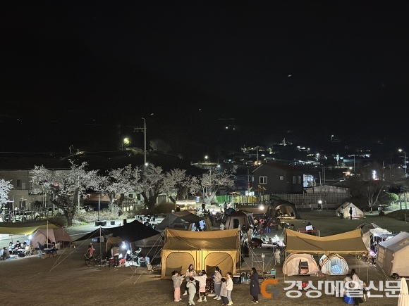 벚꽃 수 놓은 ‘스위트나이트, 성주별밤 봄내려온다’ 성료