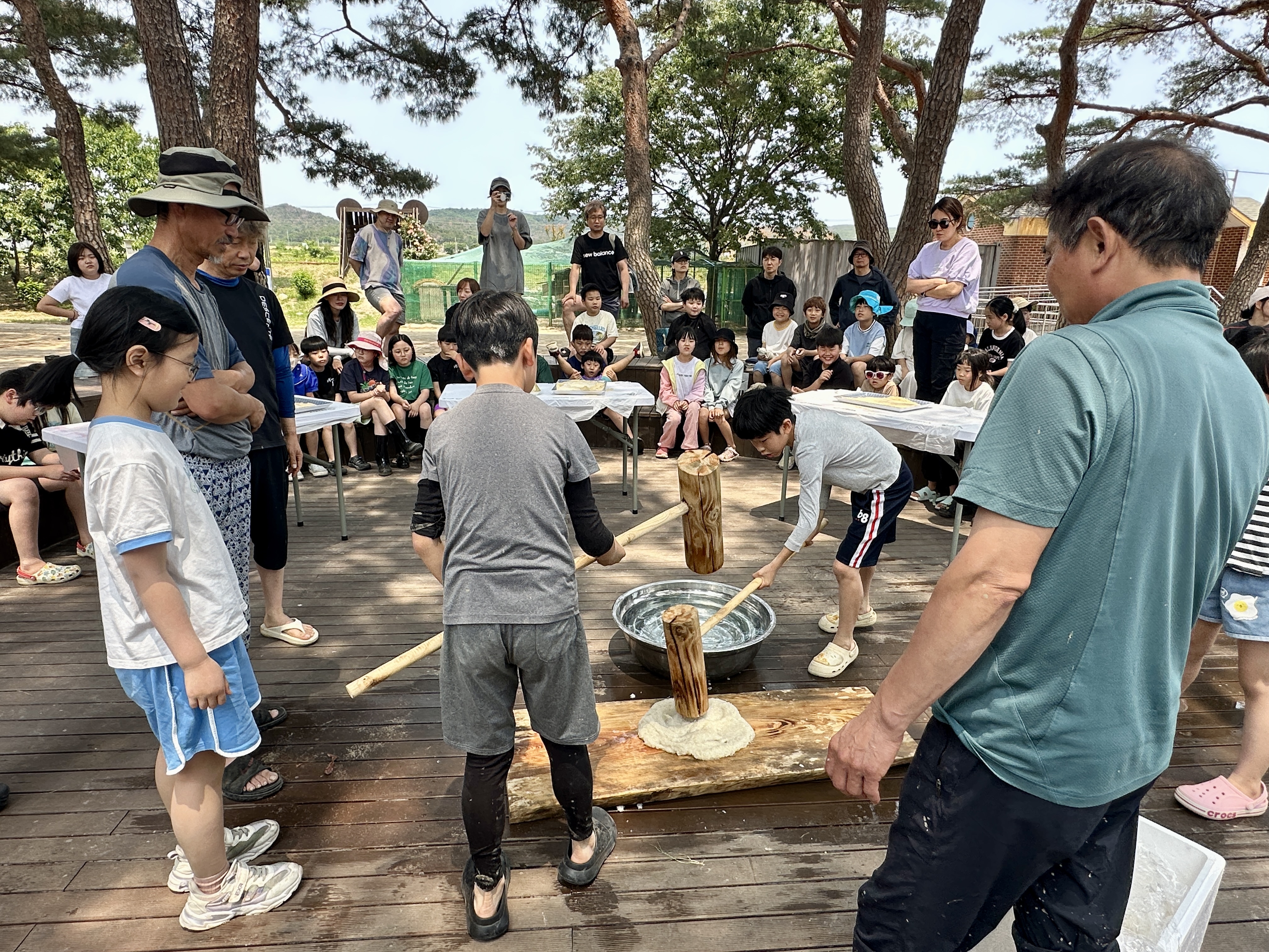 흥해서부초 3ㆍ4학년 벼농사 프로젝트