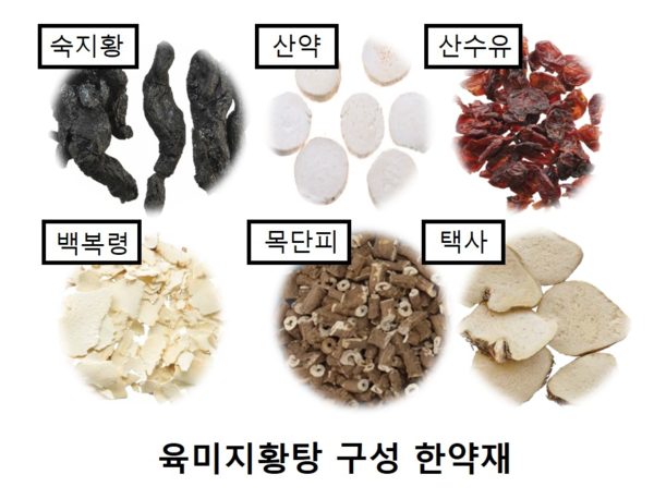 한의학연, 반하사심탕-육미지황탕-보중익기탕 등 임상시험 예정 