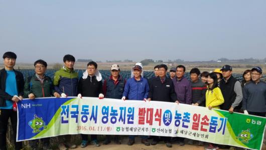 농협해남군지부·산이농협, 인삼재배 농가 일손돕기