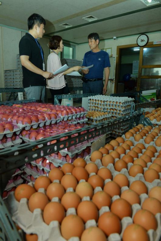 살충제 계란 유통 재개…불안감 여전
