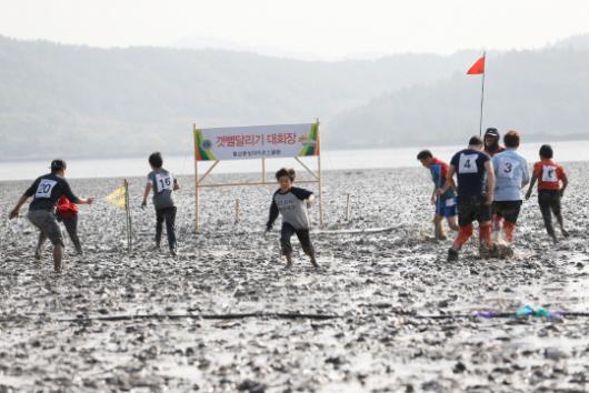 벌교꼬막축제 성료