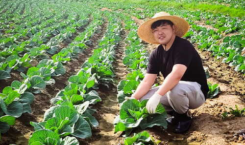 청년농부가 산지서 담아내는 믿음직한 건강