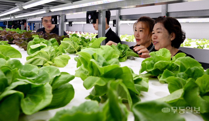주민공동체 주도 스마트팜 개장
