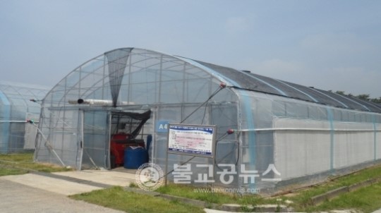 여름철 토마토 재배기술 나왔다