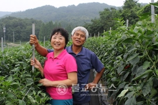 괴산고추축제 품평회 감물면 정재규 수상