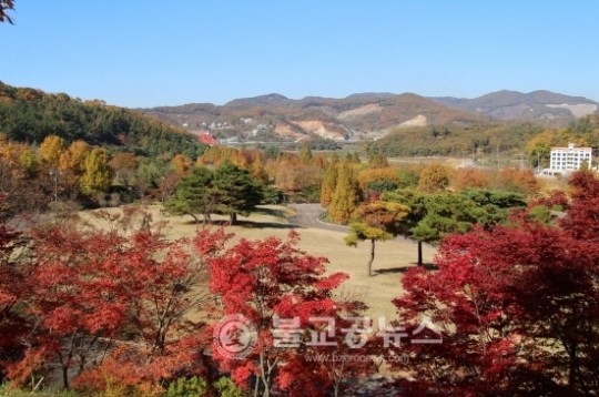 금강수목원 창연정·메타세쿼이아 황톳길