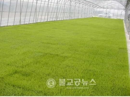청주시, 벼 재배용 영농자재 조기 공급