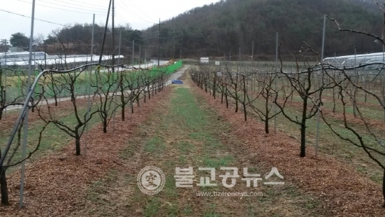 충북농업기술원, 친환경자재로 잡초방제
