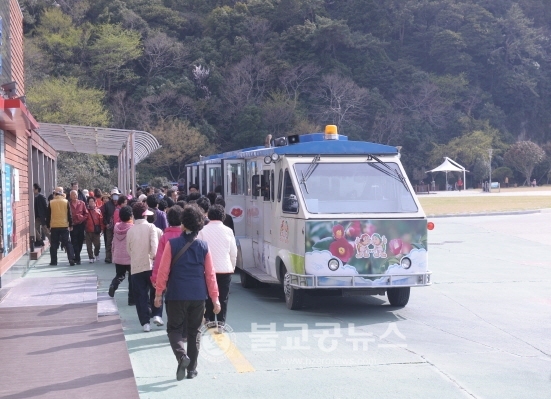 여수 오동도 동백열차 운행