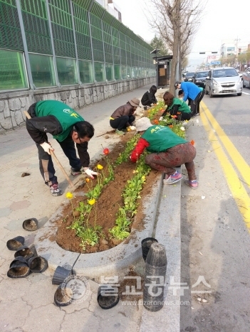 봄꽃 식재로 아름다운 거리 조성