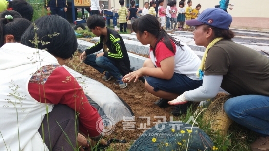 옥천 안남초 다문화텃밭 행복씨앗 심다
