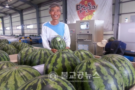 오송수박, 맛찬동이 첫 출하