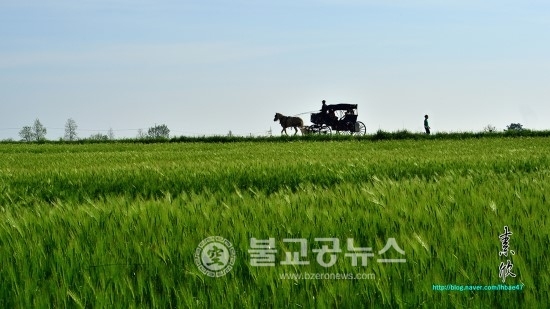 <포토뉴스> 이한배의 사진 이야기 <2>