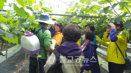 옥천군농업기술센터, 포도현장교육