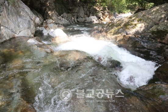영동 물한계곡, 무더위 최고의 쉼터!