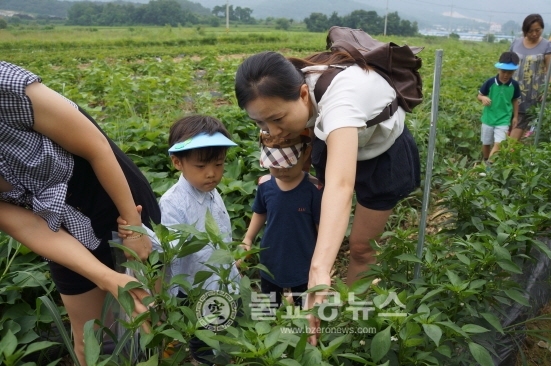 유아교육진흥원 친환경 농작물 나눔