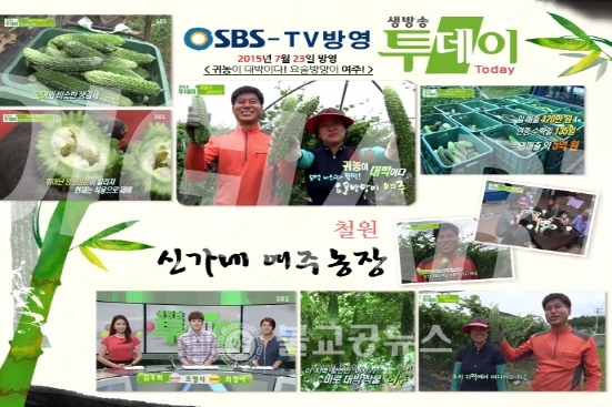 <우리농산물>철원 신가네여주농장