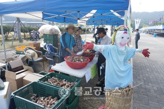 남일면 농산물직거래 장터 성료